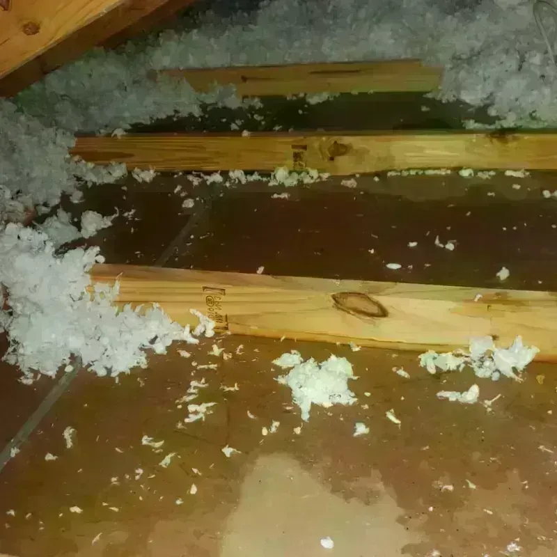 Attic Water Damage in Fall River, WI